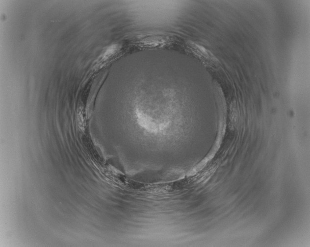 X0000070191394200606161539