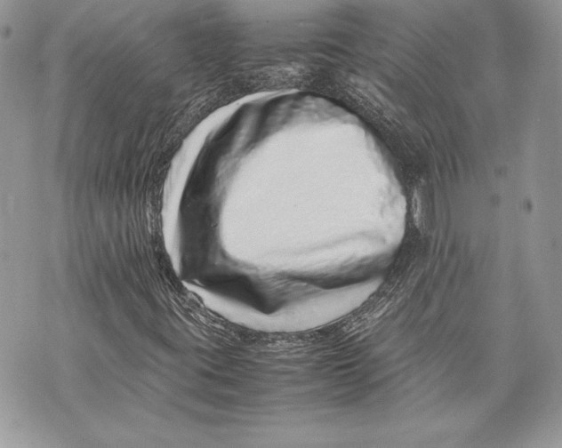 X0000070191395200606161539