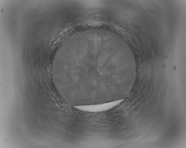 X0000070191397200606161539