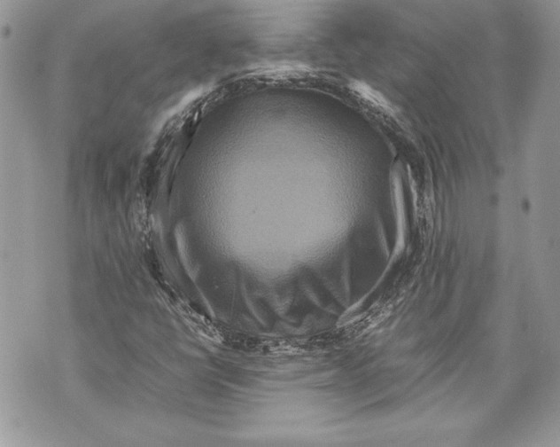 X0000070191398200606161539