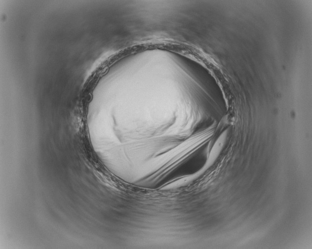 X0000070191400200606161539