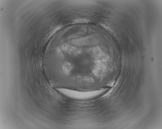 X0000070191401200606161539