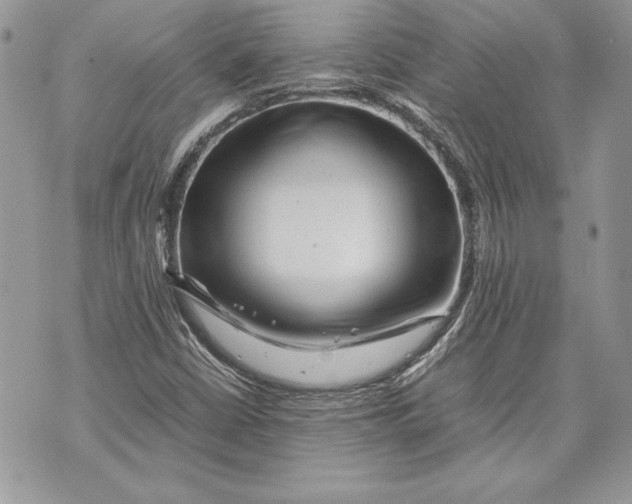 X0000070191402200606161539