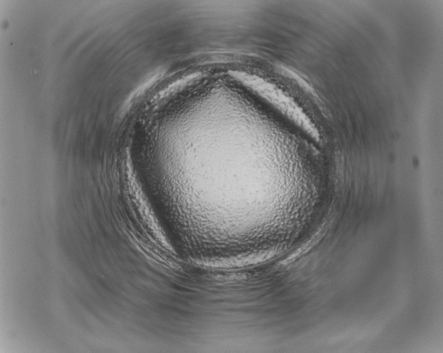 X0000070191403200606161539