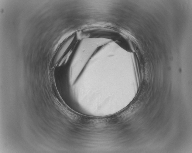 X0000070191404200606161539