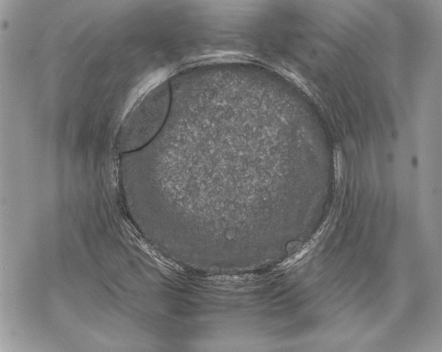 X0000070191405200606161539