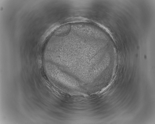 X0000070191407200606161539