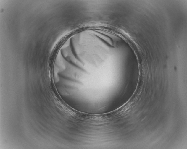 X0000070191408200606161539