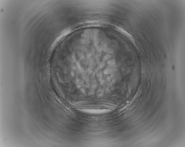 X0000070191411200606161539