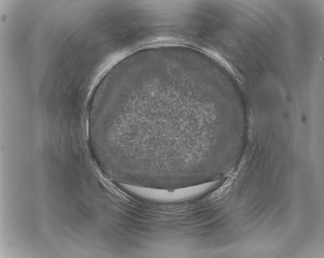 X0000070191413200606161539