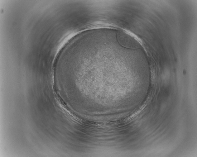 X0000070191415200606161539