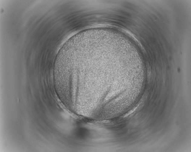 X0000070191417200606161539