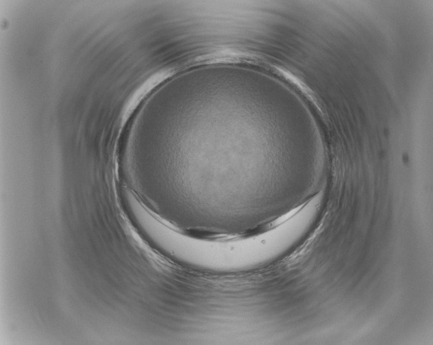 X0000070191418200606161539