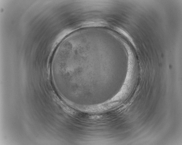 X0000070191419200606161539