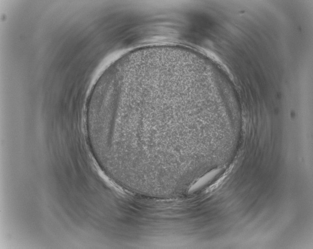 X0000070191421200606161539