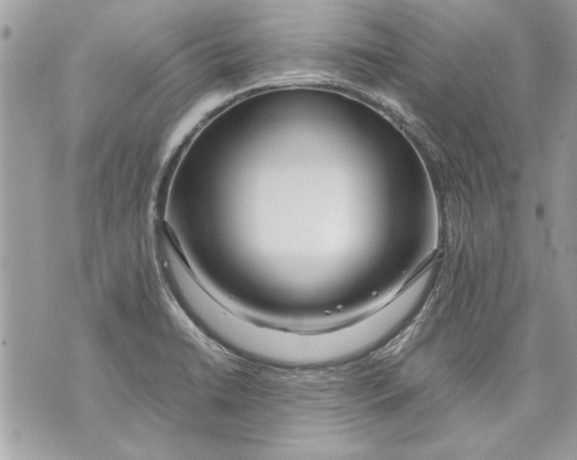 X0000070191422200606161539