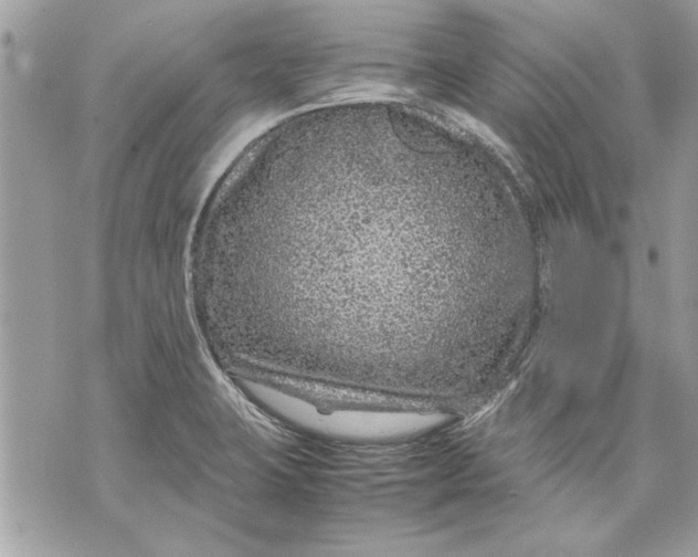 X0000070191423200606161539