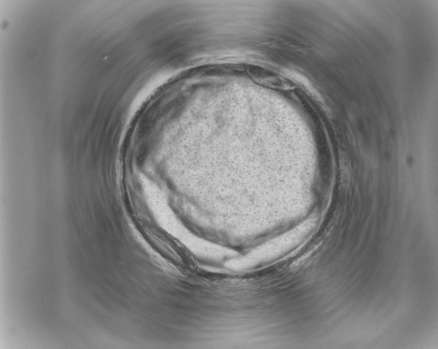 X0000070191424200606161539