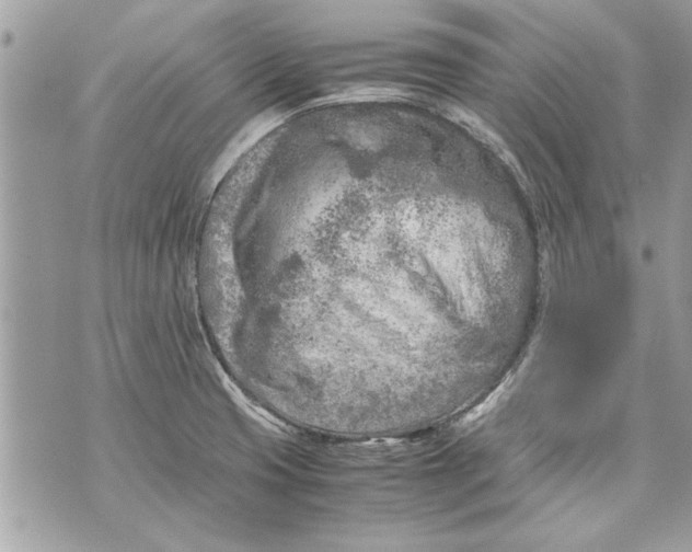 X0000070191425200606161539