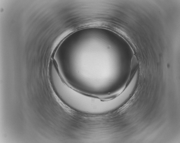 X0000070191426200606161539