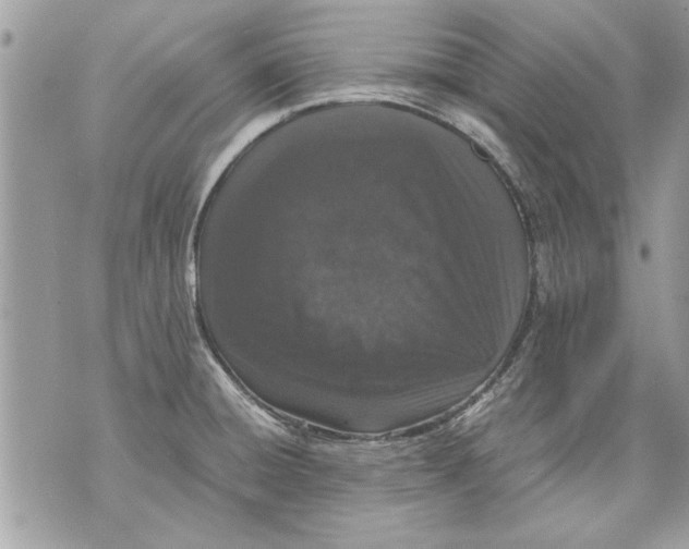 X0000070191428200606161539