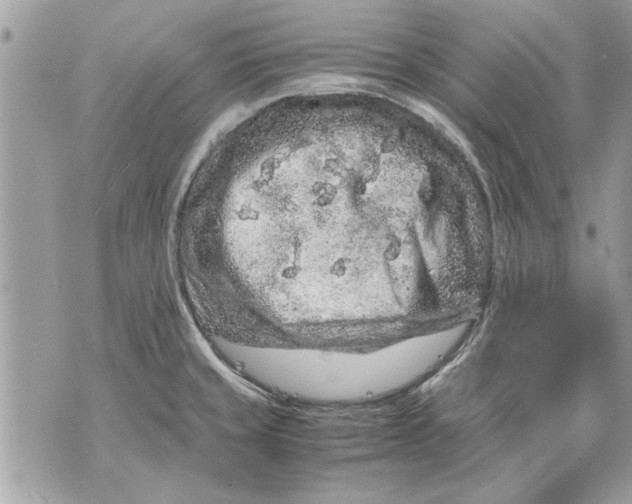 X0000070191429200606161539