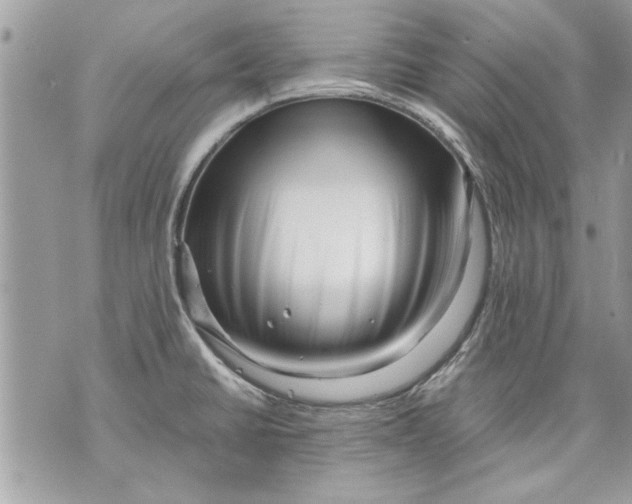 X0000070191430200606161539