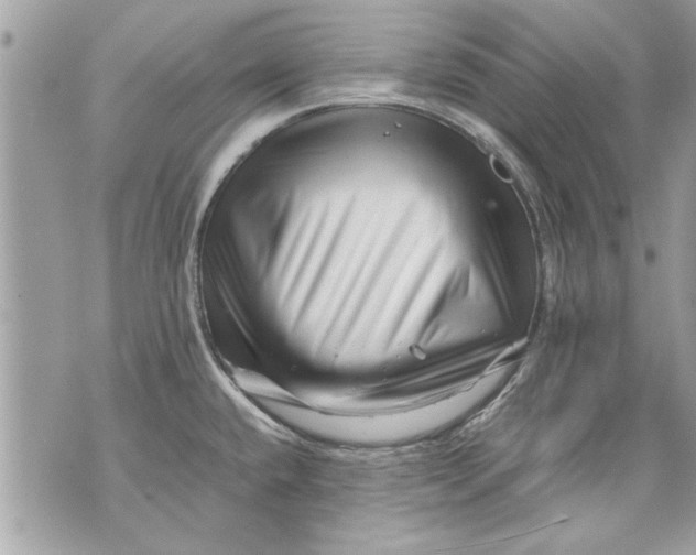 X0000070191432200606161539