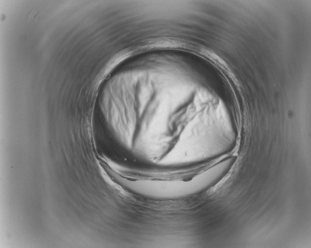 X0000070191433200606161539