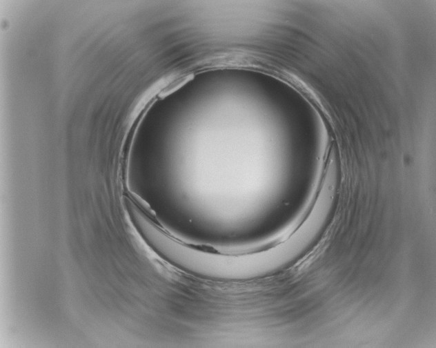 X0000070191434200606161539