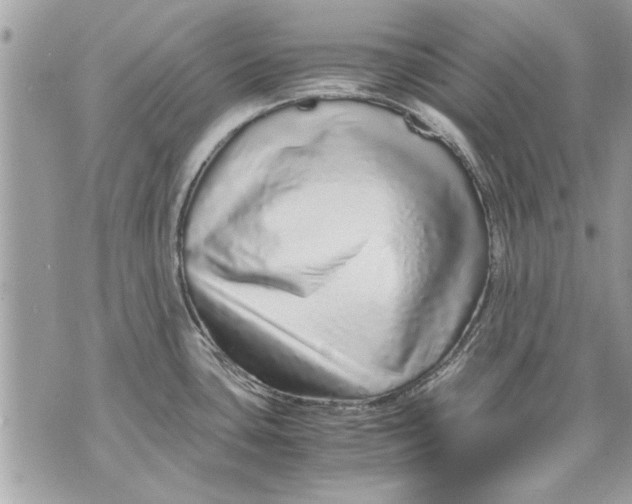 X0000070191435200606161539