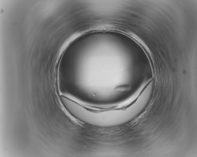 X0000070191437200606161539