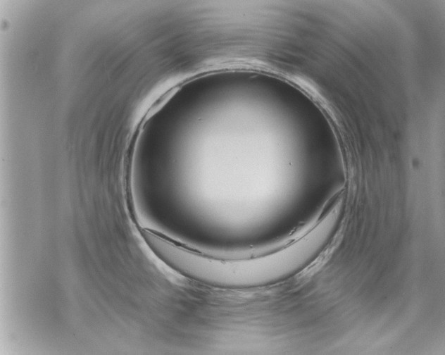 X0000070191438200606161539