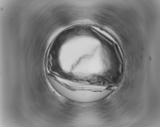 X0000070191440200606161539