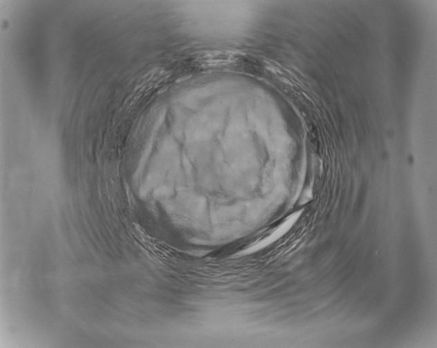 X0000070191441200606161539