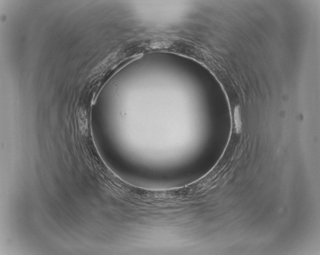 X0000070191443200606161539