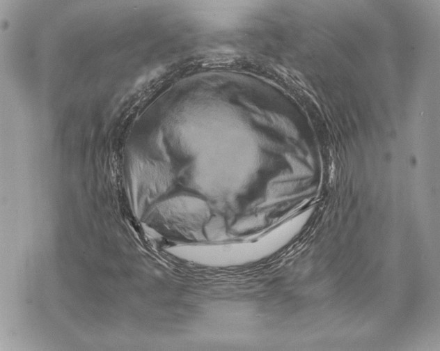 X0000070191445200606161539