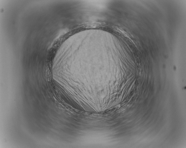 X0000070191446200606161538