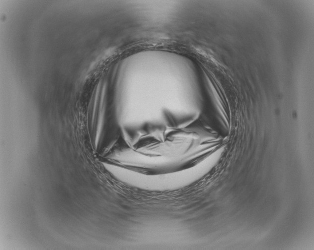 X0000070191447200606161538