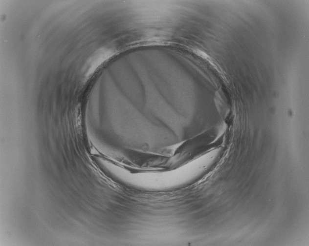 X0000070191450200606161538