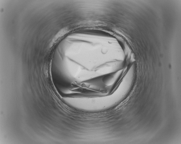 X0000070191451200606161538