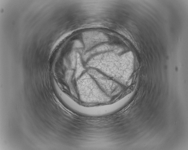 X0000070191452200606161538