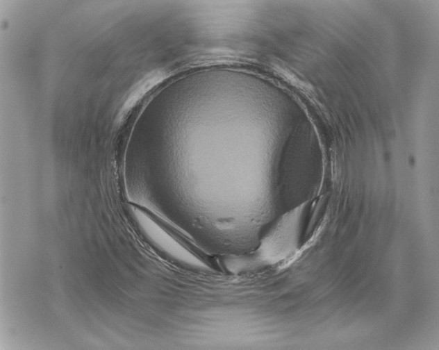 X0000070191453200606161538