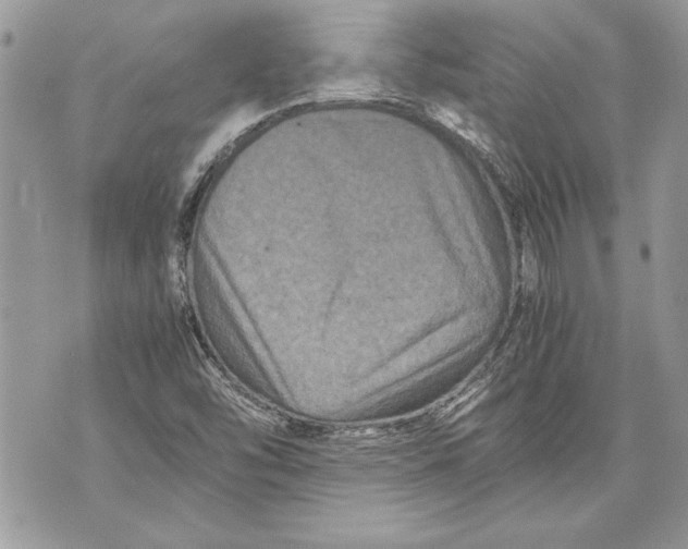 X0000070191454200606161538