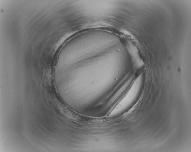 X0000070191457200606161538