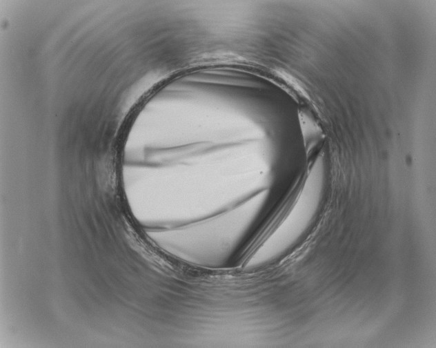 X0000070191458200606161538