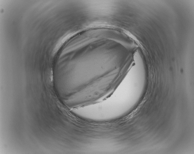 X0000070191461200606161538