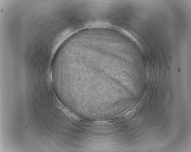 X0000070191462200606161538