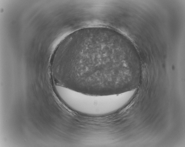 X0000070191463200606161538