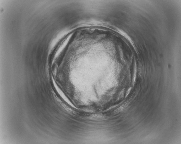 X0000070191464200606161538